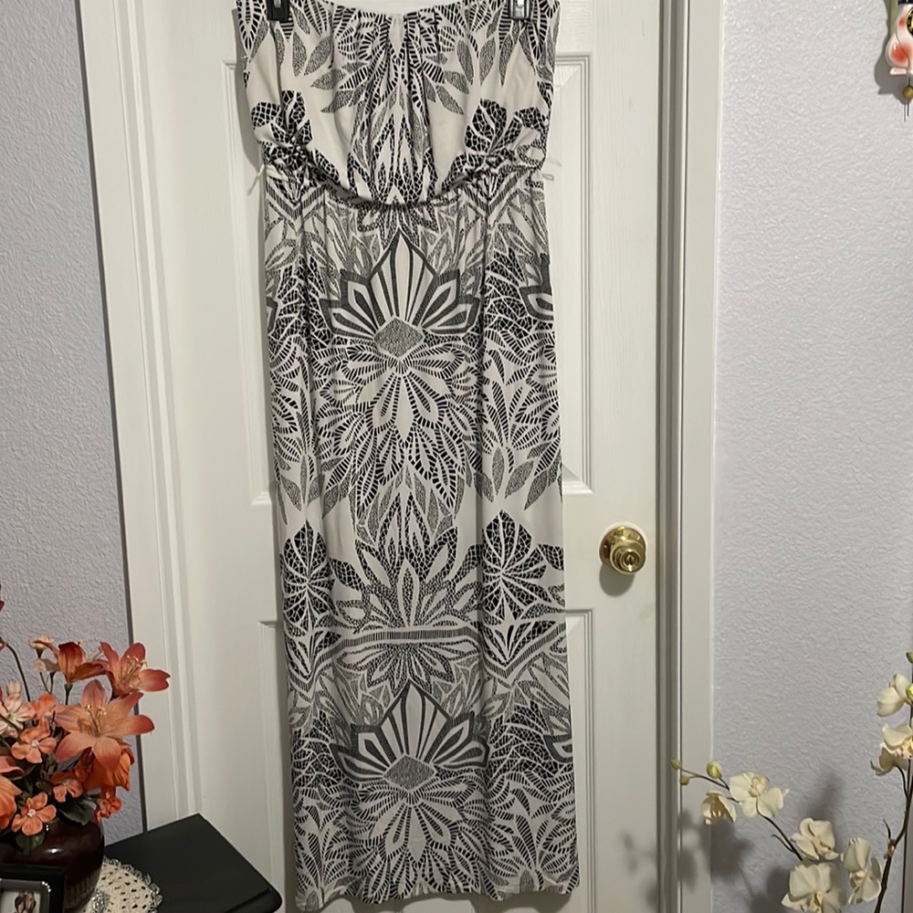 Bisou Bisou Black and White Maxi Dress
